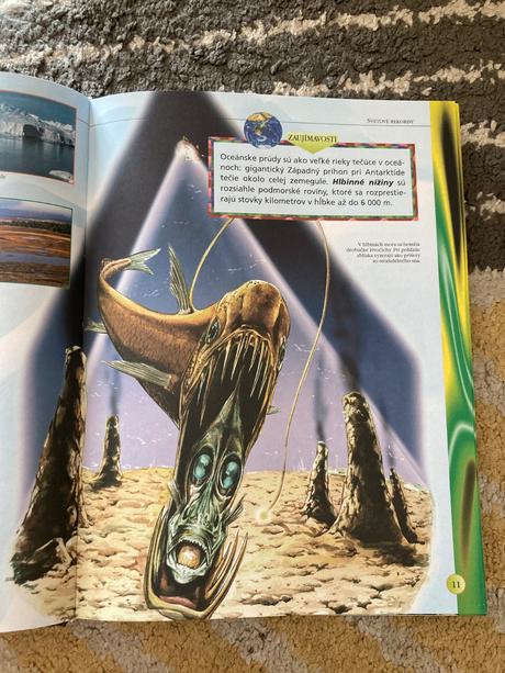 Svetové rekordy (2005), 