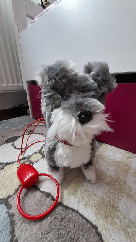 Chodiaci psík addo  - výrobca pitter a patter, 