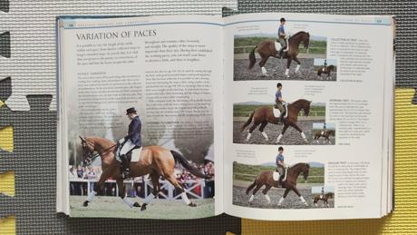 Complete horse riding manual top stav,