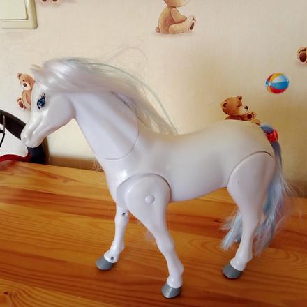 Pohybujúci sa koník, 