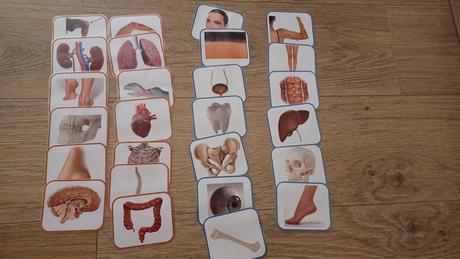 Kartove montessori aktivity, 