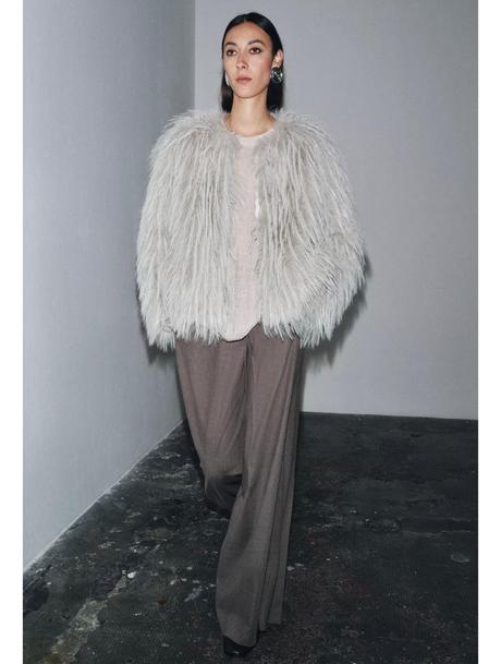 Zara kozuch c. d, zara,s