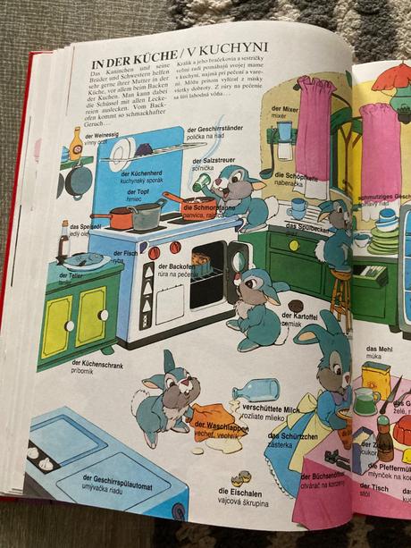 Veľký obrázkový slovník nemecko-slovenský (1992), 