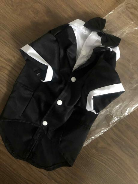 Slavnostne oblecenie pre psa, 