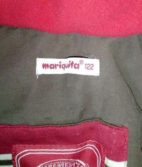 Vesta, mariquita,122