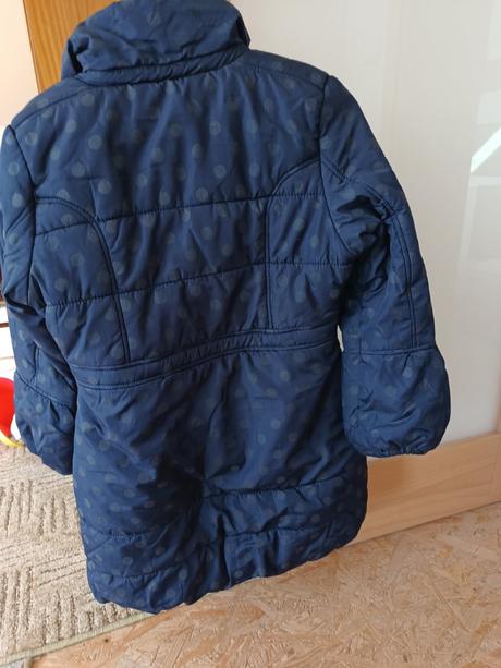 Vetrovka, bluezoo,152