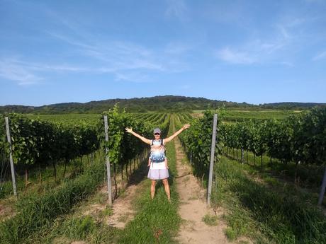 Nosič rischino flexi xross od 5m do cca 3 rokov, rischino