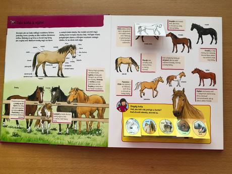 Kniha kone a poníky, 