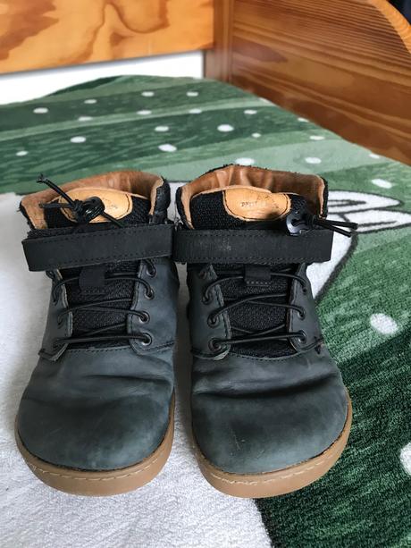 Pegres celoročné, pegres,29