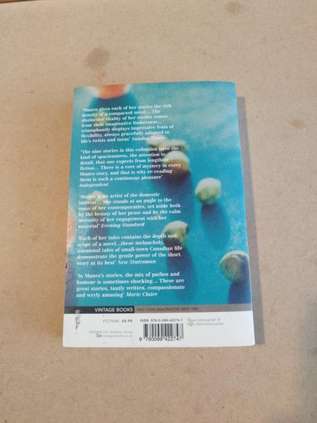 Alice munro v anglictine xs24,