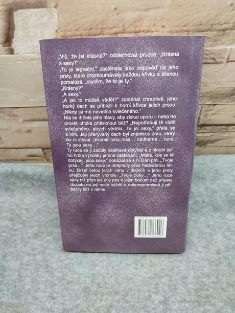 Bleskové námluvy cz barbara delinsky, 