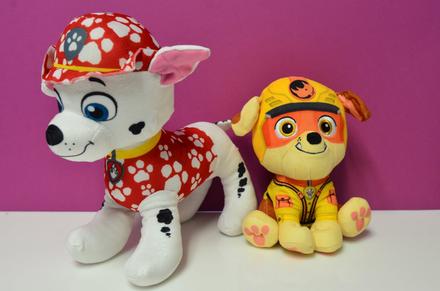 Paw patrol pes,