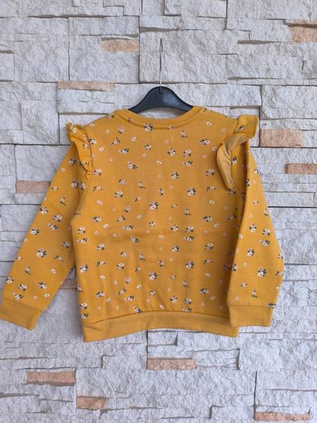 Hocičova mikina 110, sinsay,110