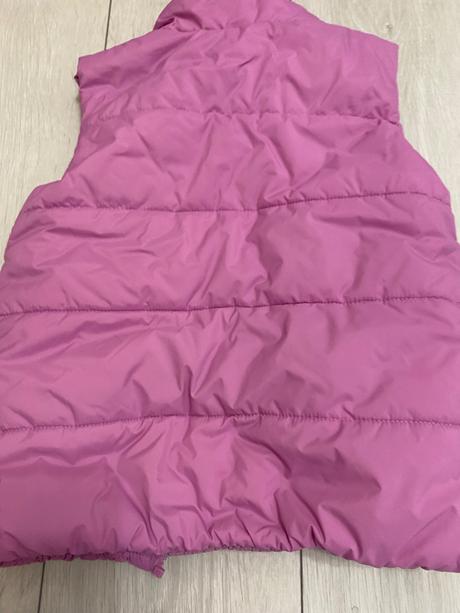 Vesta, coccodrillo,104