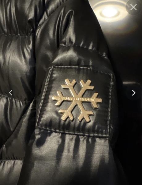 Elisabetta franchi, m