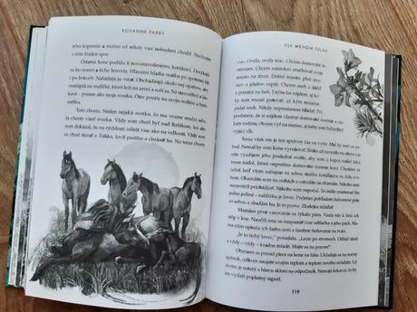 Kniha vlk menom tulák, 