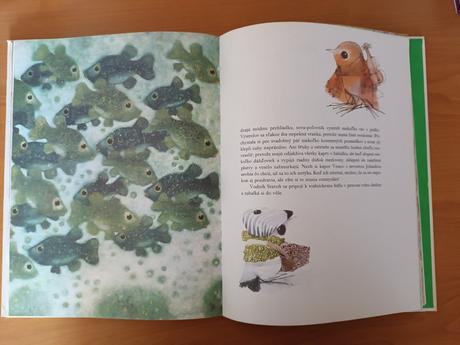 Bohumil ríha - svadba v rybníku (1982),