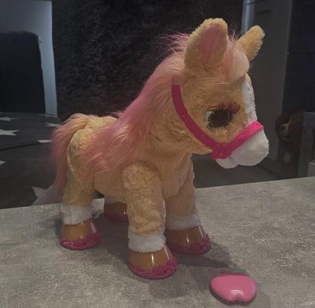 Interaktivny koník, 