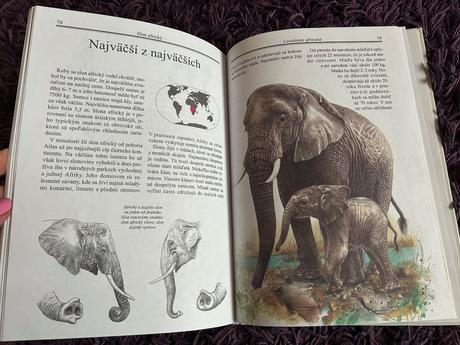 Zvieratá a ich mláďatá v zoo,