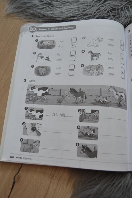 Beehive level 1 activity book (sk edition) - praco,