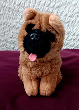 Menší plyšák havko,