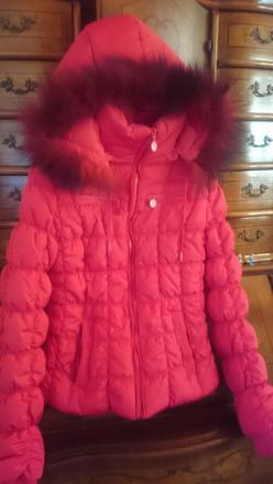 Dámska krátka zimná bunda, s