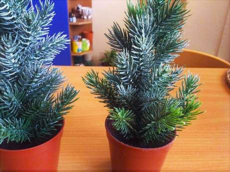 Sada stromčekov- 3 ks,