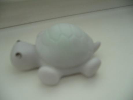 Svietiaca korytnačka, 