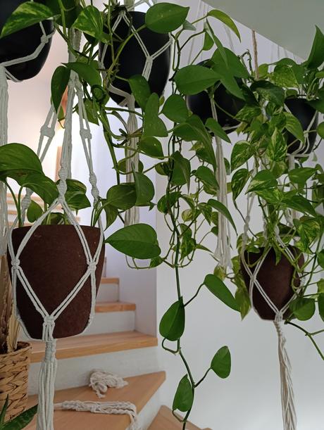 Pletený závesný držiak na kvetináč, 