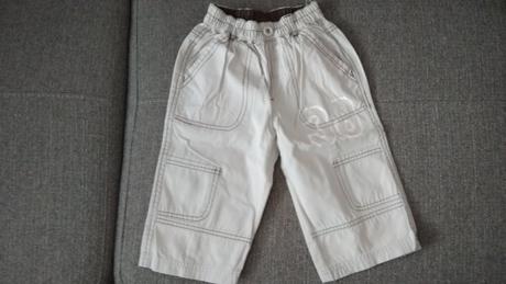 Trištvrťaky, palomino,110