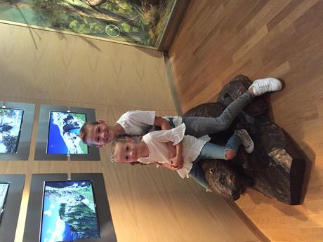 Super rifle, next,110