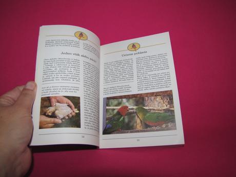 Všetko o veľkých papagájoch, 