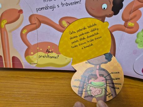 Okienkova kniha moje telo, 