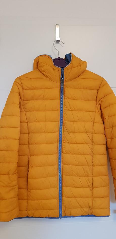 Obojstranna hunda, 164