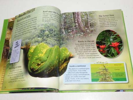 My first animal encyclopedia, 