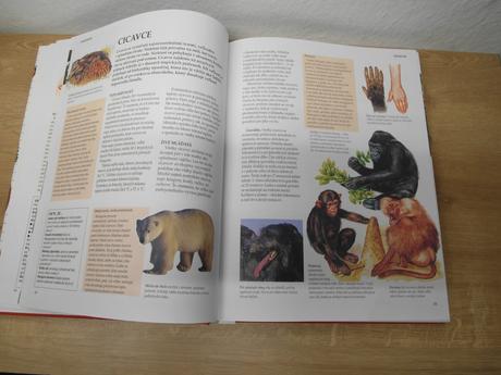 Skolska encyklopedia,