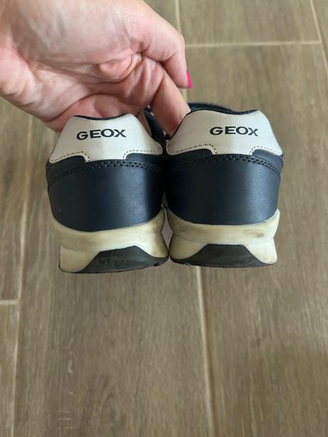 Topánky geox, geox,31