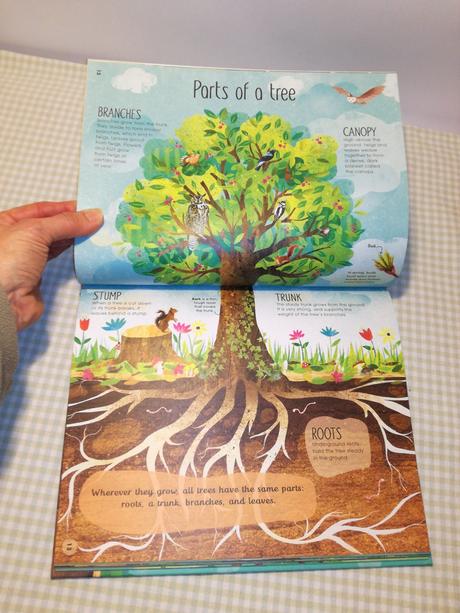 Jen green the magic & mystery of trees  nau21, 