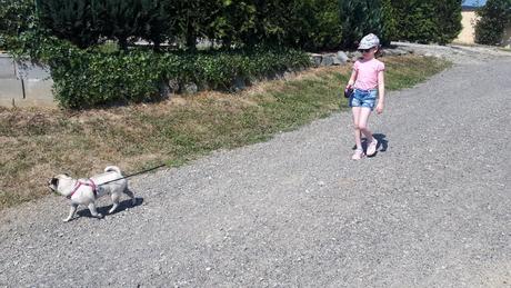 Tričká, dopodopo,110