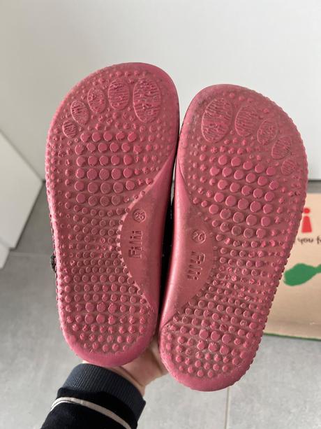 Filii chameliion, filii,26