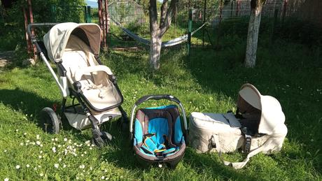 Concord wanderer trojkombinácia, concord,concord wanderer