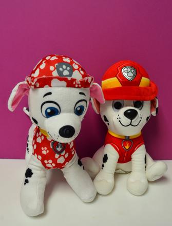 Pes paw patrol,