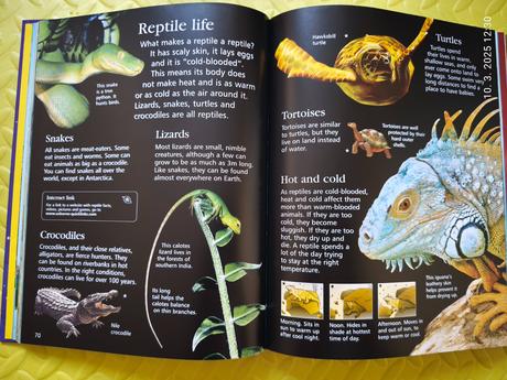 Usbourne children's encyclopedia top stav, 