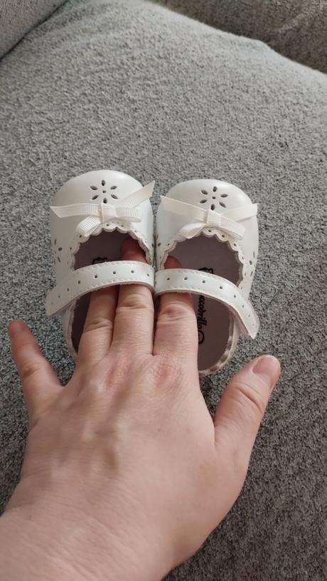 Capačky, coccodrillo,<17