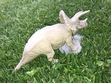 Dinosaurus triceratops,