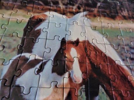 Obrázok kone - puzzle, 