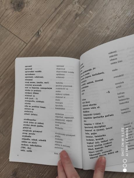 Kniha za tu nasu slovencinu, 