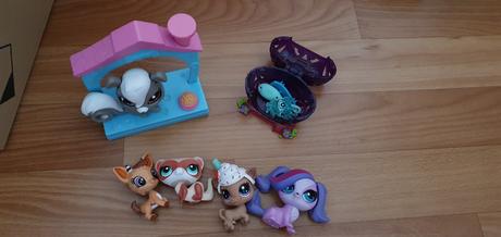Little pet shop,