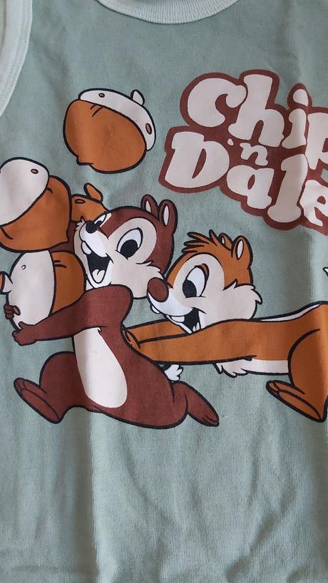 Set opalovačiek chip & dale 80, disney,80
