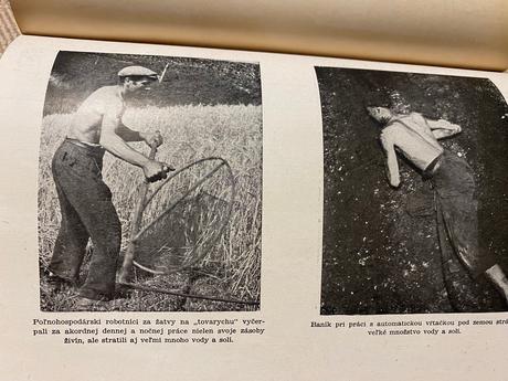 Správna výživa zdravých a chorých tatran 1951, 